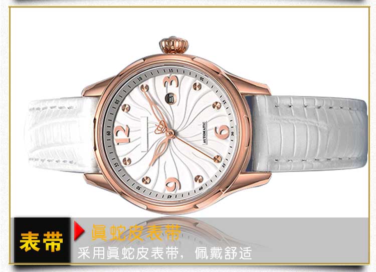 批量定制女士機械手表_穩(wěn)達時工廠直銷