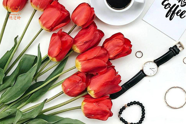 穩(wěn)達(dá)時(shí)手表廠家 批發(fā)優(yōu)質(zhì)石英方水女士手表